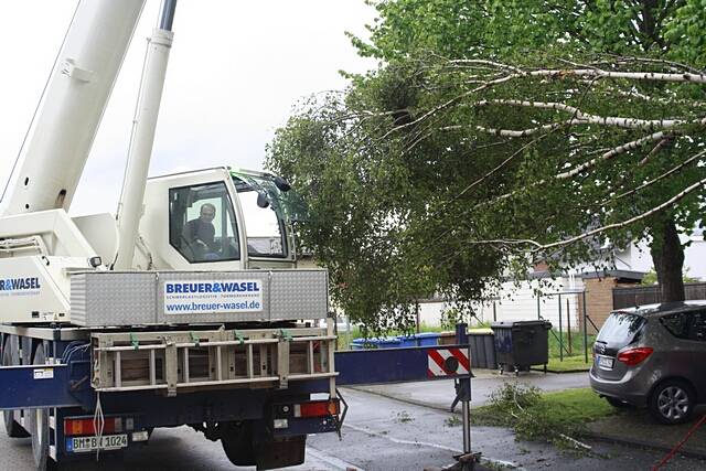 Maibaum der Feuerwehr