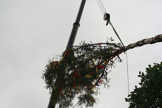 Maibaum der Feuerwehr