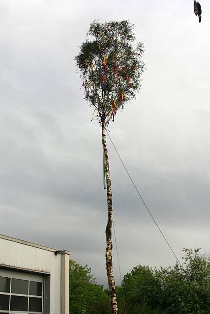 Maibaum der Feuerwehr