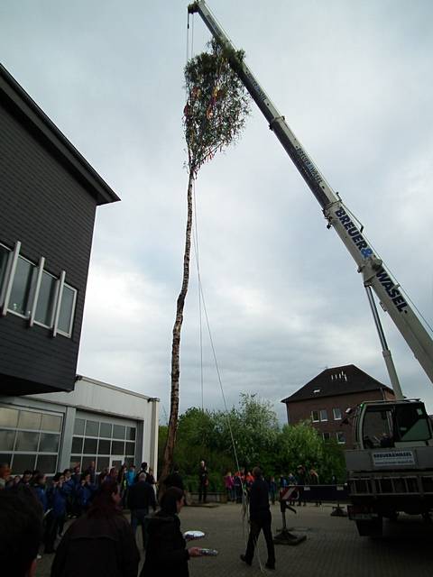 Maibaum der Feuerwehr