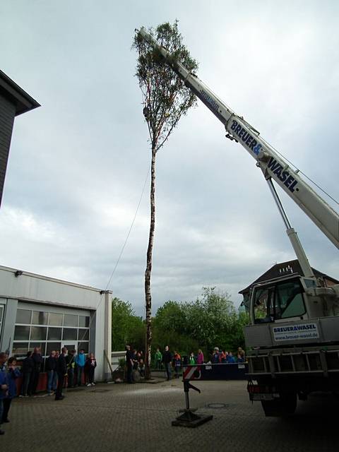Maibaum der Feuerwehr