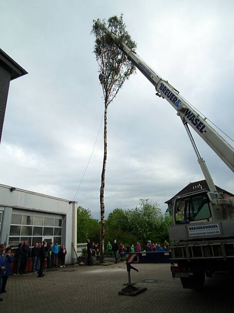 Maibaum der Feuerwehr