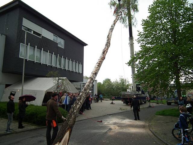 Maibaum der Feuerwehr