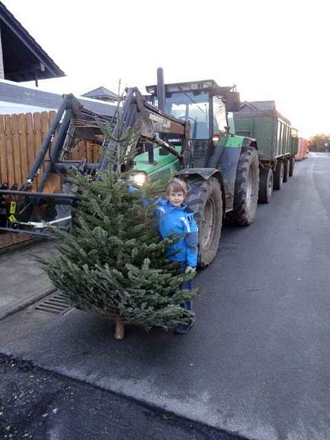 Weihnachtsbaum-Sammlung 2015