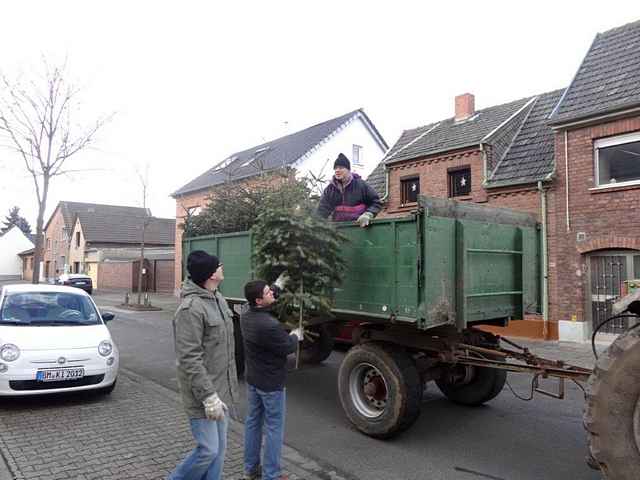 Weihnachtsbaum-Sammlung 2015