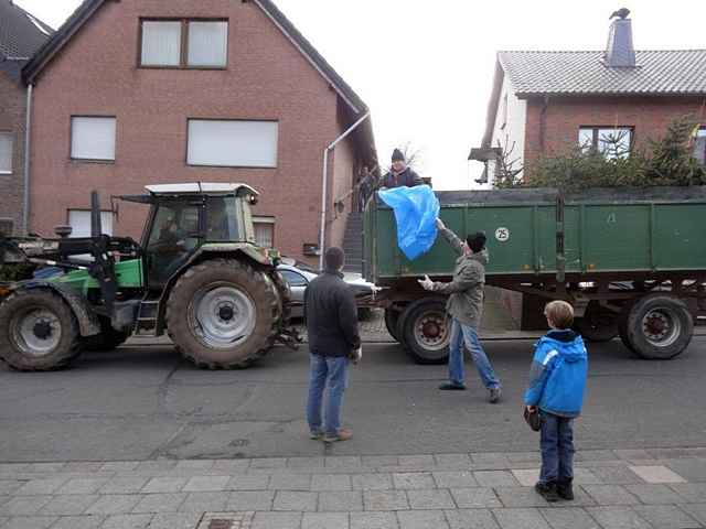 Weihnachtsbaum-Sammlung 2015