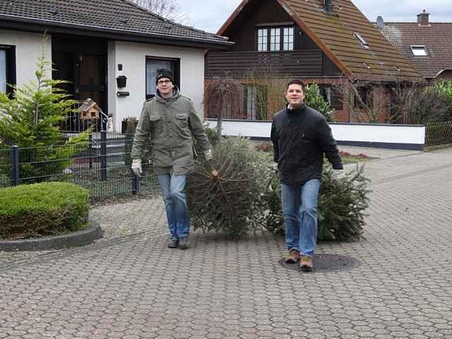 Weihnachtsbaum-Sammlung 2015