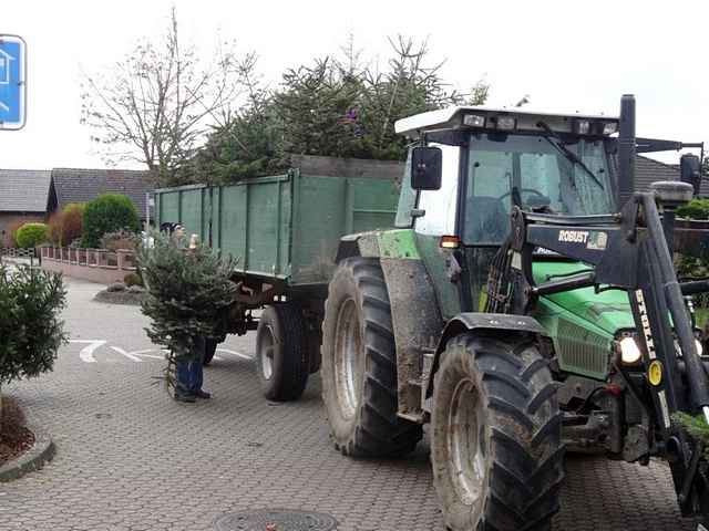 Weihnachtsbaum-Sammlung 2015