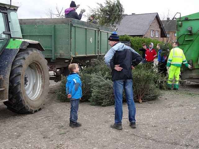 Weihnachtsbaum-Sammlung 2015