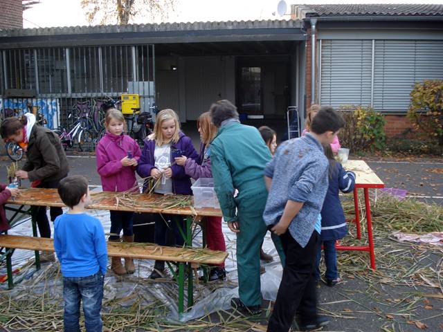 Bau eines Wildbienen-Hauses