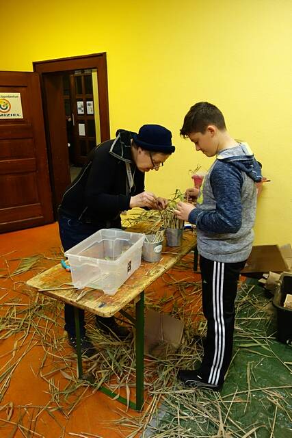 Bau eines Wildbienen-Hauses