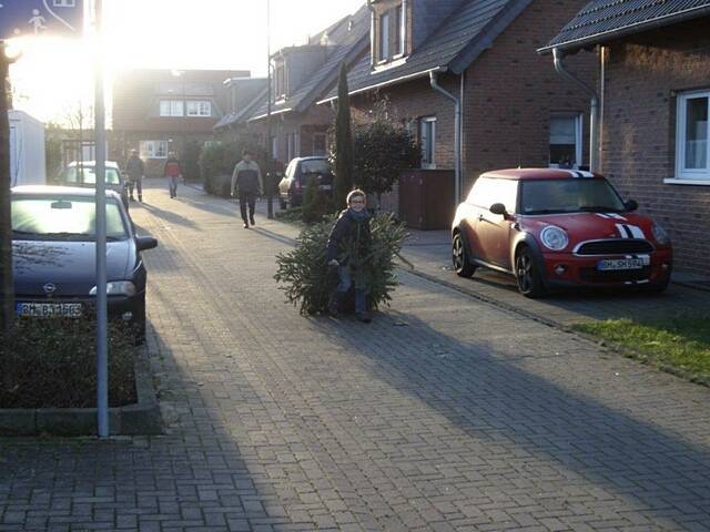 Weihnachtsbaum-Sammlung 2016