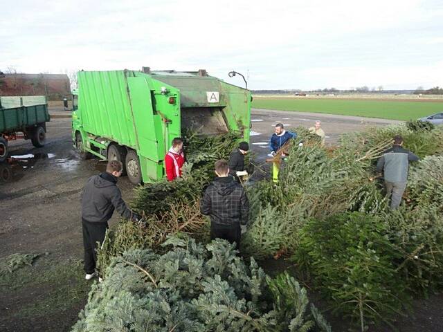 Weihnachtsbaum-Sammlung 2016