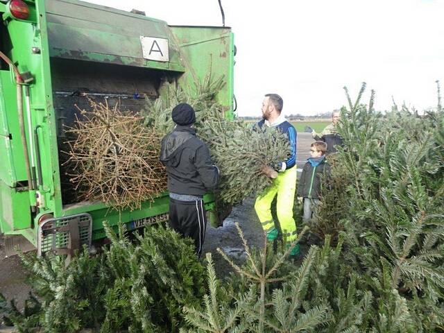 Weihnachtsbaum-Sammlung 2016