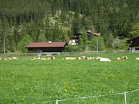 Ferienfahrt 2015 - Achenkirch