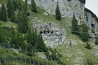 Ferienfahrt 2015 - Bergwanderung