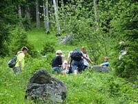 Ferienfahrt 2015 - Bergwanderung