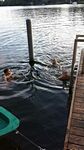 Ferienfahrt 2016 - 5. Tag vor Ort