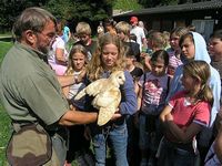 Ferienspiele 2007 - 8. Tag