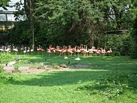 Ferienspiele 2014 - 3. Tag
