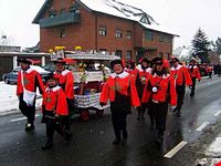 Karnevalszug 2010