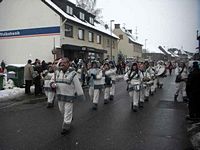 Karnevalszug 2010