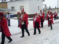 Karnevalszug 2010