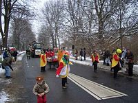 Karnevalszug 2010