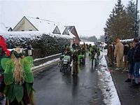 Karnevalszug 2010