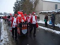 Karnevalszug 2010