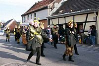 Karnevalszug 2013 - Unterdorf