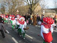 Karnevalszug 2013 - Kommandeursburg 2