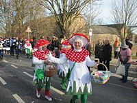 Karnevalszug 2013 - Kommandeursburg 2