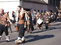 Karnevalszug 2014 - Bilder aus dem Oberdorf