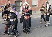 Karnevalszug 2014 - Bilder aus Bergerhausen