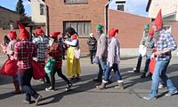 Karnevalszug 2014 - Bilder aus Bergerhausen