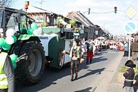 Karnevalszug 2014 - Bilder aus dem Oberdorf