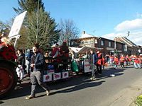 Karnevalszug 2014 - Bilder aus dem Oberdorf