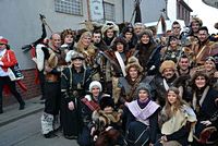 Karnevalszug 2014 - Bilder aus Bergerhausen