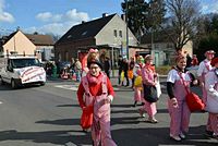 Karnevalszug 2014 - Bilder aus Bergerhausen