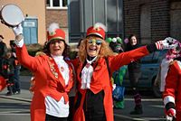 Karnevalszug 2014 - Bilder aus Bergerhausen