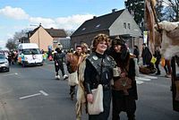 Karnevalszug 2014 - Bilder aus Bergerhausen