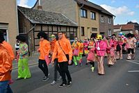 Karnevalszug 2014 - Bilder aus Bergerhausen