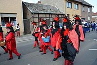 Karnevalszug 2014 - Bilder aus Bergerhausen