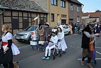 Karnevalszug 2014 - Bilder aus Bergerhausen