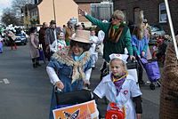 Karnevalszug 2014 - Bilder aus Bergerhausen