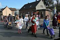 Karnevalszug 2014 - Bilder aus Bergerhausen