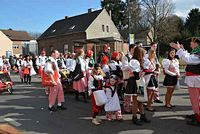 Karnevalszug 2014 - Bilder aus Bergerhausen