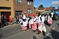 Karnevalszug 2014 - Bilder aus Bergerhausen