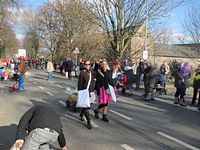 Karnevalszug 2014 - Bilder an der Kommandeursburg